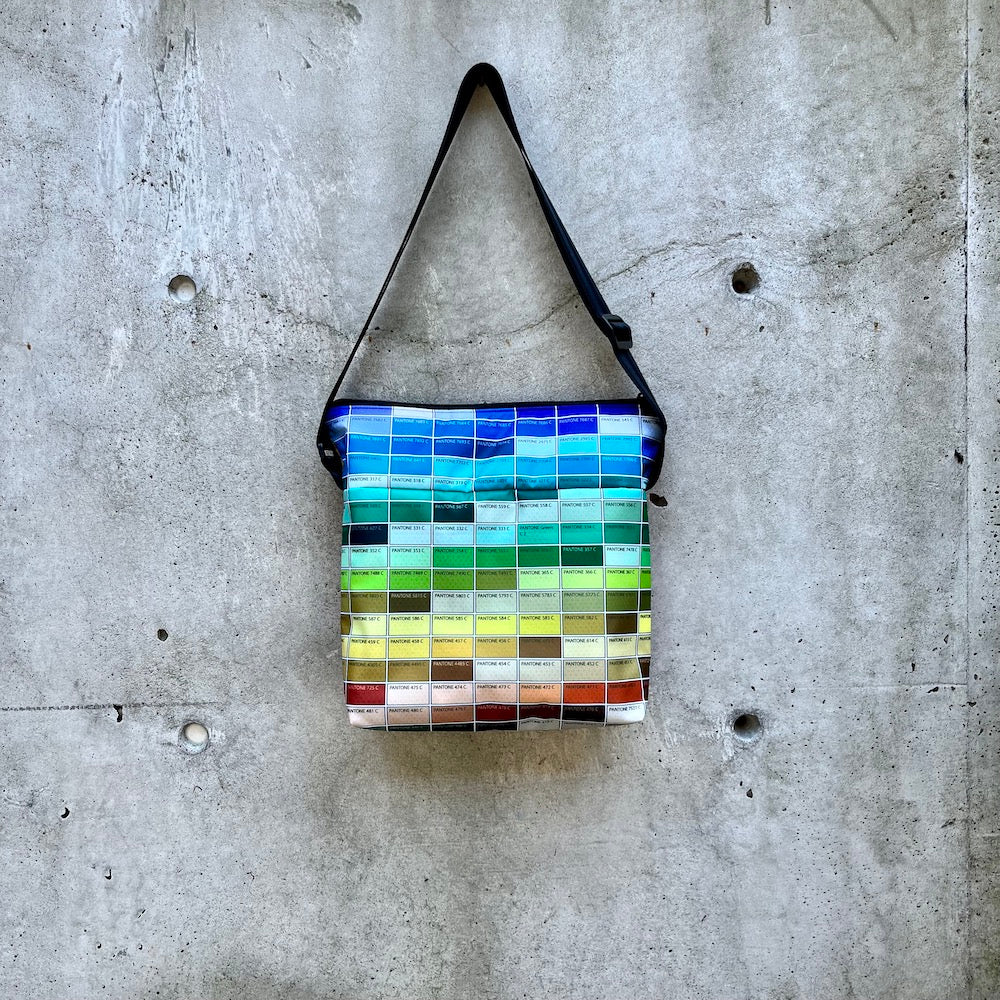 small zippered bag- pantone (D)